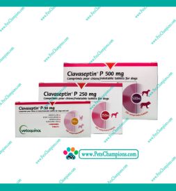 Vetoquinol Clavaseptin 250mg – Blister 10 Comprimidos