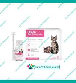 Agrovet Market Petonic Cats Recuperation – Frasco 55ml