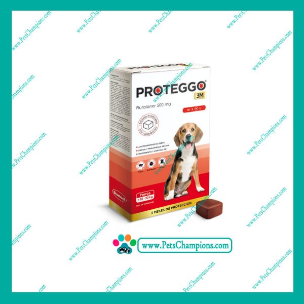 Biomont Proteggo 3M Medium 10 a 20kg (500mg) – Protege 3 meses