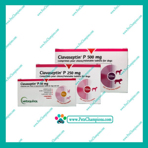 Vetoquinol Clavaseptin 500mg - Blister 10 Comprimidos