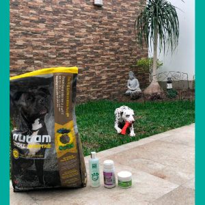 RYNO Ven y consiente a tu mejor amigo 🐶 en #PetChampions.