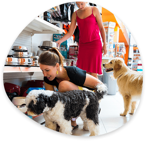 Nosotros - Pets Champions