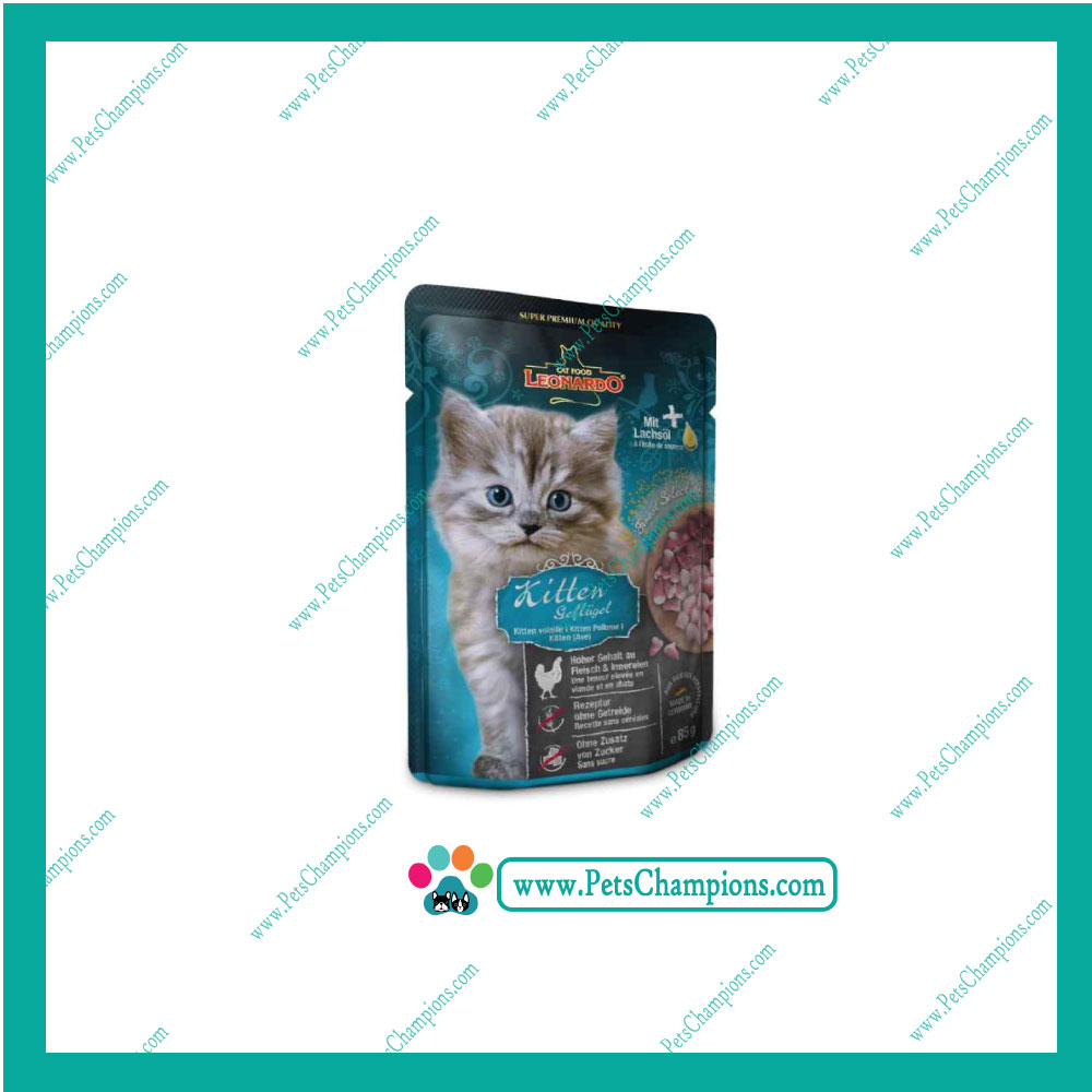 Leonardo Kitten Ave